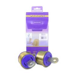 Volvo S40 (2004 onwards) Powerflex Rear Trailing Arm Blade Bush PFR19-812