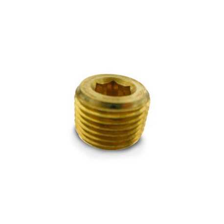 Pipe Plugs- 1/2" NPT (countersunk)