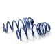H&R Performance Lowering Springs: Mercedes-benz E-class T-model (S211) E 220 T CDI (211.208) (ref: 29265-2)