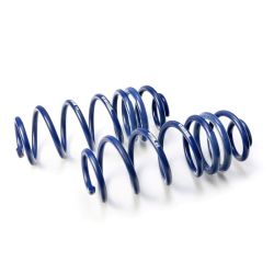 H&R Performance Lowering Springs: Nissan Terrano II (R20) 2.4 4WD (ref: 29398-1)