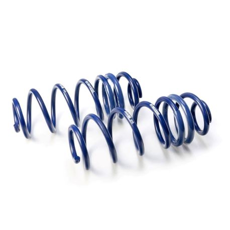 H&R Performance Lowering Springs: Renault 19 II Cabriolet (d53_, 853_) 1.8 (D53Y) (ref: 29908-1)