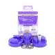 Renault Clio II (inc 172 & 182) Powerflex Dog Bone (Twisted) Engine Mount Bush Kit PFF60-211K