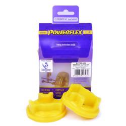 Renault ScÃƒÂ©nic  II (2003-2009) Powerflex Lower Engine Mount Insert PFF60-820
