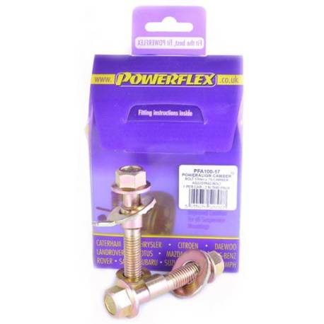 Toyota Prius (2010 - 2011) Powerflex PowerAlign Camber Bolt Kit (17mm) - 17mm
